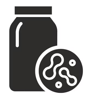 Fermentation